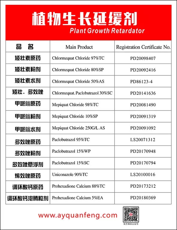 米乐M6·(中国游)官方网站